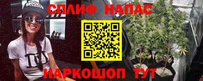 mdpv Новокубанск