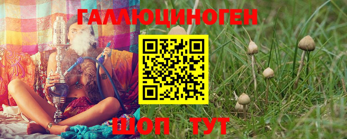 Галлюциногенные грибы мицелий  Вход с VPN  Чебаркуль 