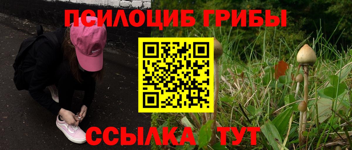 Псилоцибиновые грибы прущие грибы Чебаркуль